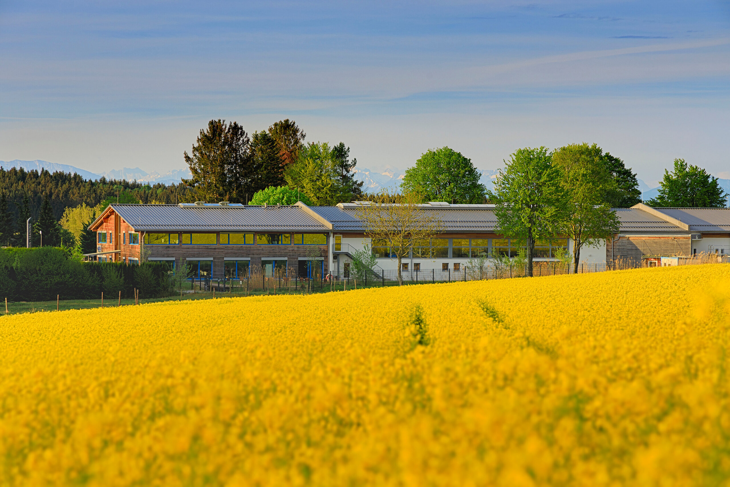 REISER-Gebäude mit Photovoltaik hinter blühendem Rapsfeld