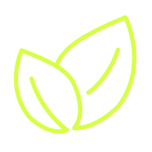 Icon Blätter, Wert Nachhaltigkeit
